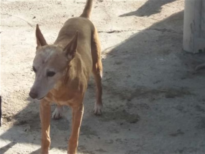 Floyd sucht Paten