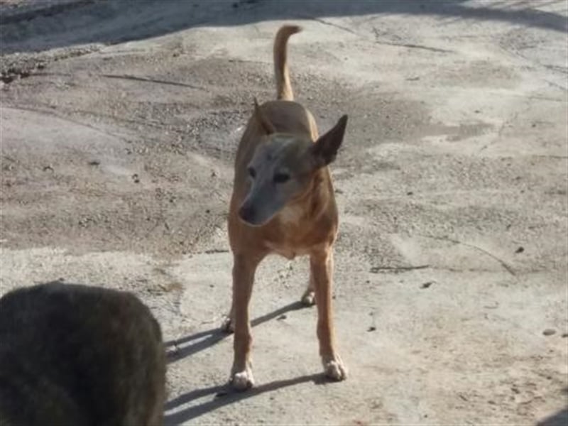 Floyd sucht Paten