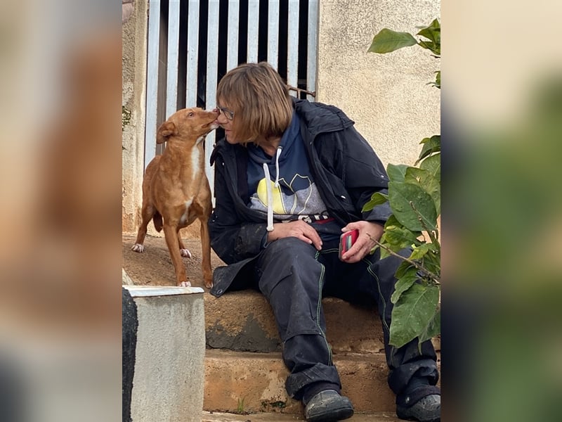Aiko V39 ist der Herzenshund aller