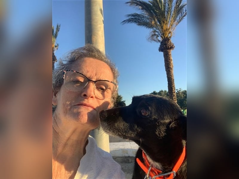 Kiko, Podenco Mix Schatz, immer freundlich zu allen