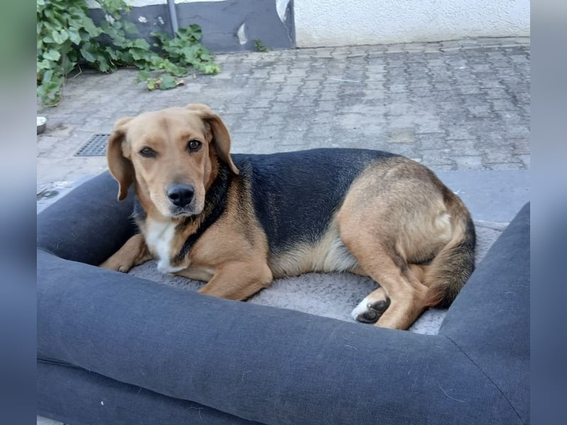 Petty ein absoluter Engel