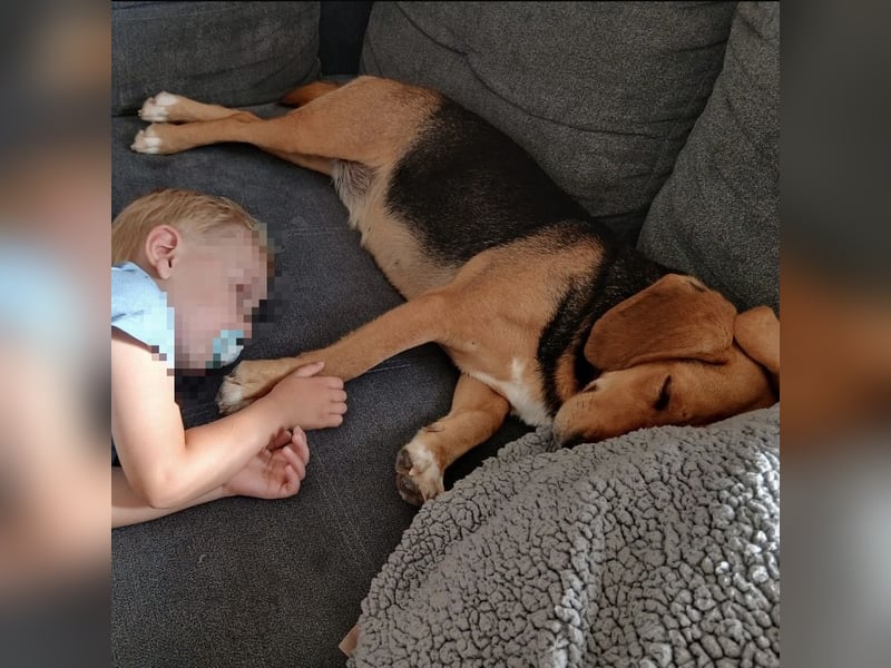 Petty ein absoluter Engel