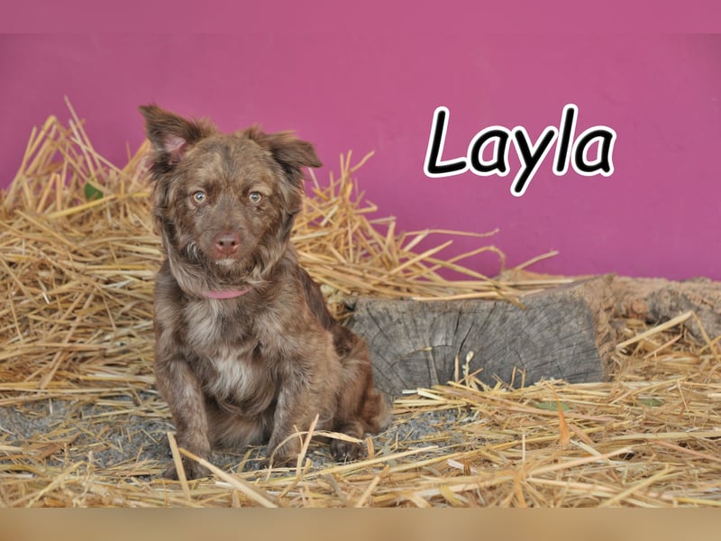 Bekommt Layla nun eine zweite Chance?