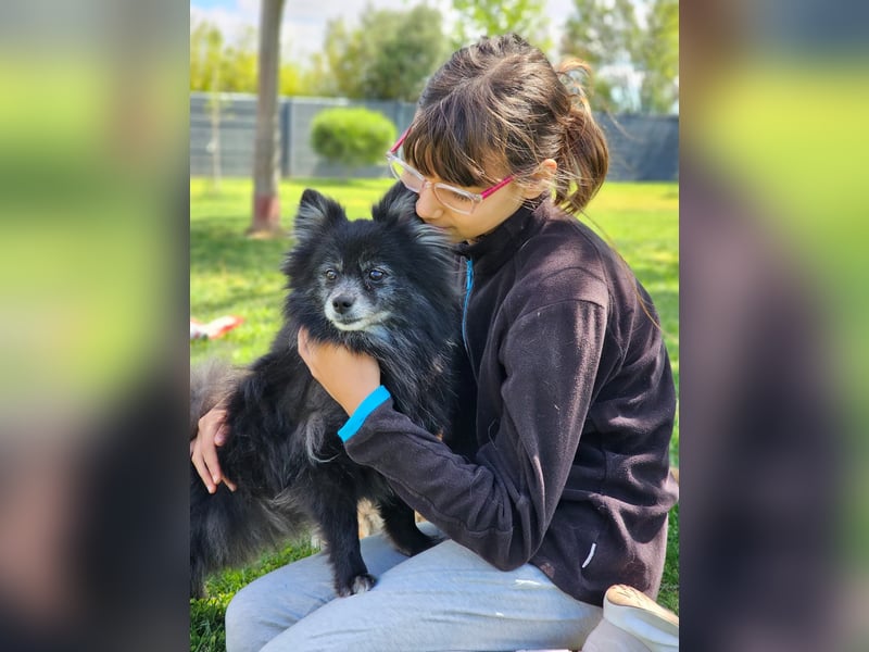 COCO ❤️ einfach ein Schatz, Pflegefamilie Bochum