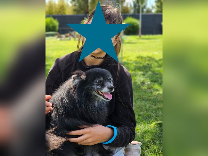 COCO ❤️ einfach ein Schatz, Pflegefamilie Bochum