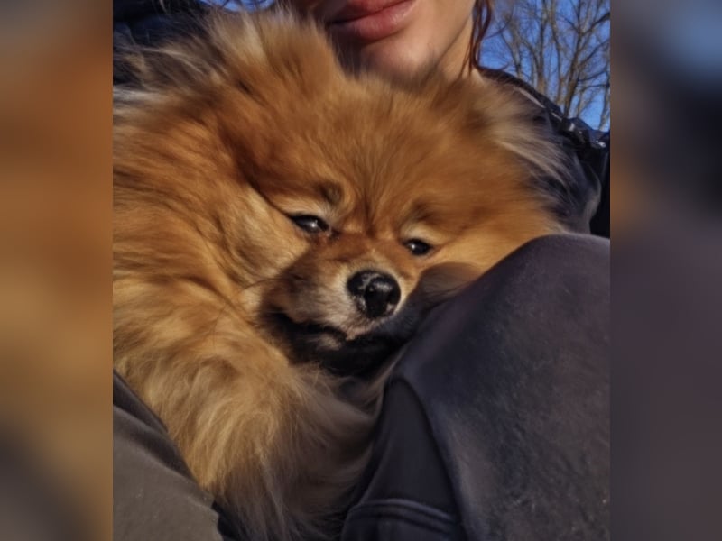 Herzensbrecherin sucht neues Glück.