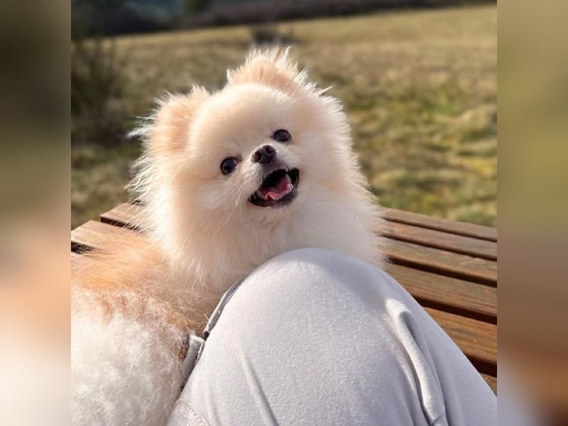 Bijou - ist gesprächig