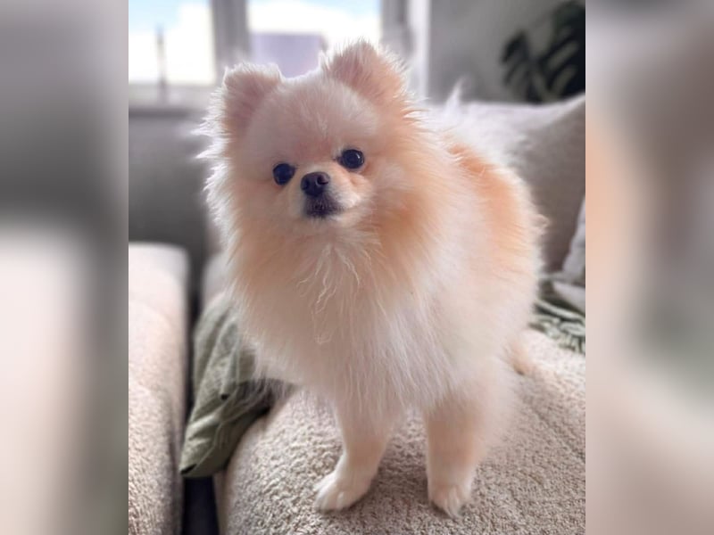 Bijou - ist gesprächig