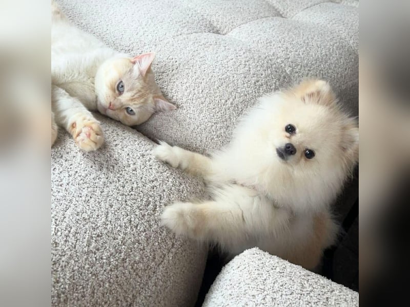 Bijou - ist gesprächig