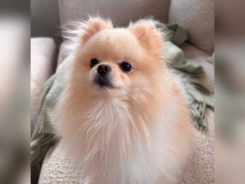 Bijou - ist gesprächig