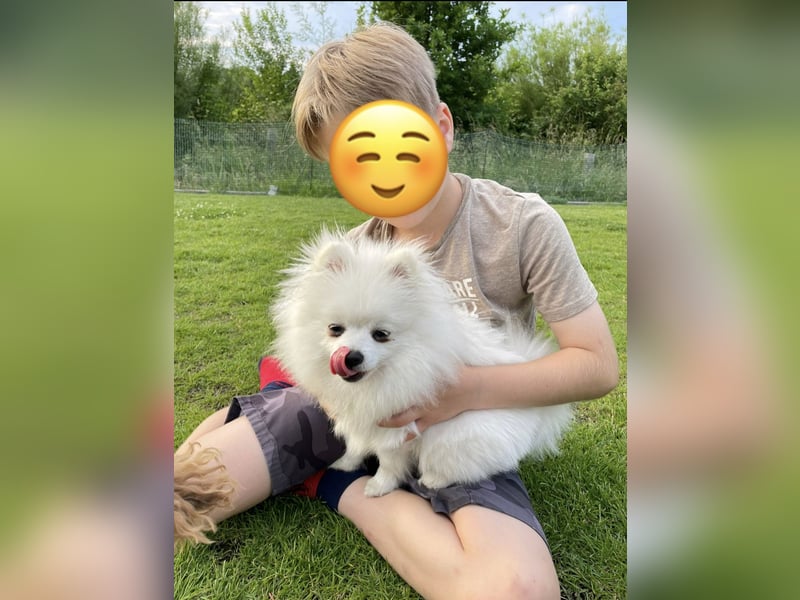 Liebevolle Hände gesucht für unseren kleinen James