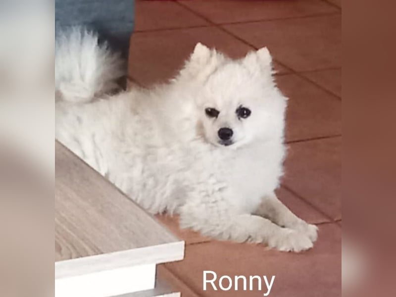 Ronny sucht versierte/n Trainingspartner/in