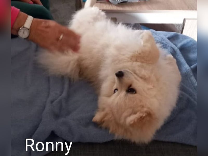 Ronny sucht versierte/n Trainingspartner/in