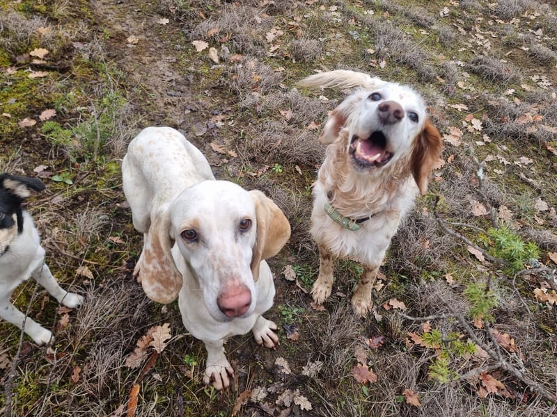 Alice – eine zarte Seele, die endlich ankommen möchte