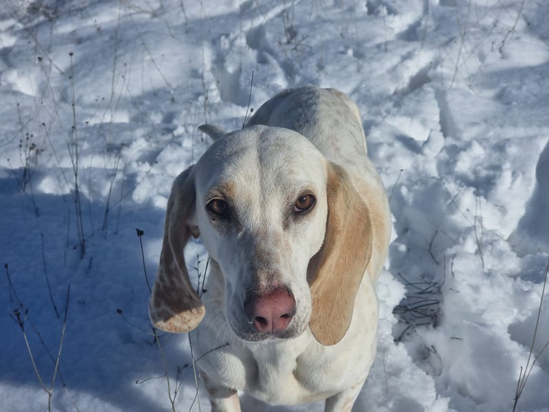 Alice – eine zarte Seele, die endlich ankommen möchte