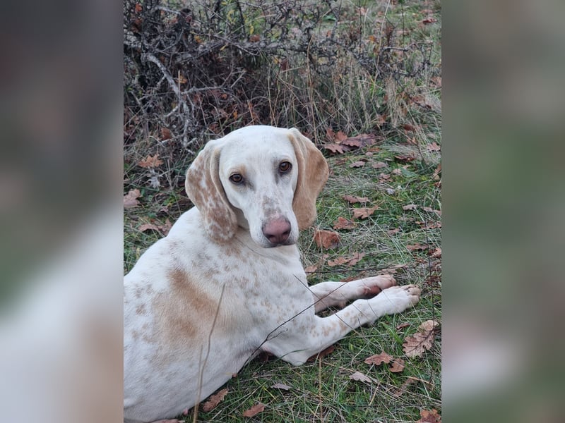 Alice – eine zarte Seele, die endlich ankommen möchte