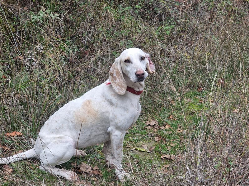 Alice – eine zarte Seele, die endlich ankommen möchte