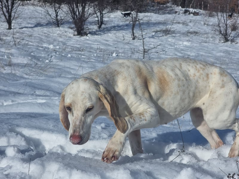 Alice – eine zarte Seele, die endlich ankommen möchte