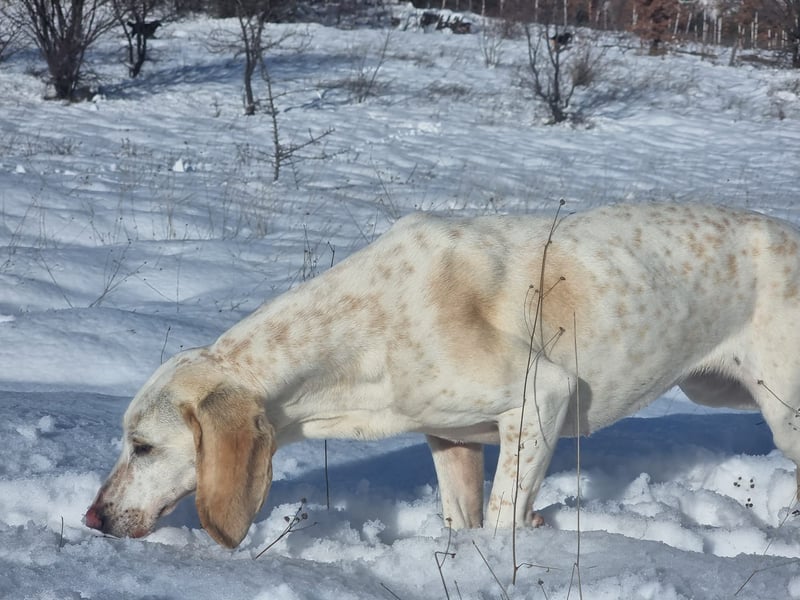 Alice – eine zarte Seele, die endlich ankommen möchte