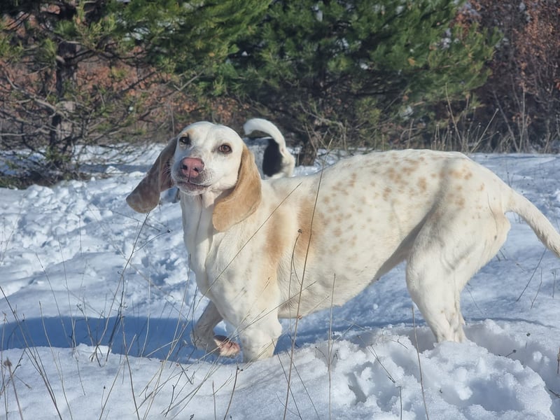 Alice – eine zarte Seele, die endlich ankommen möchte
