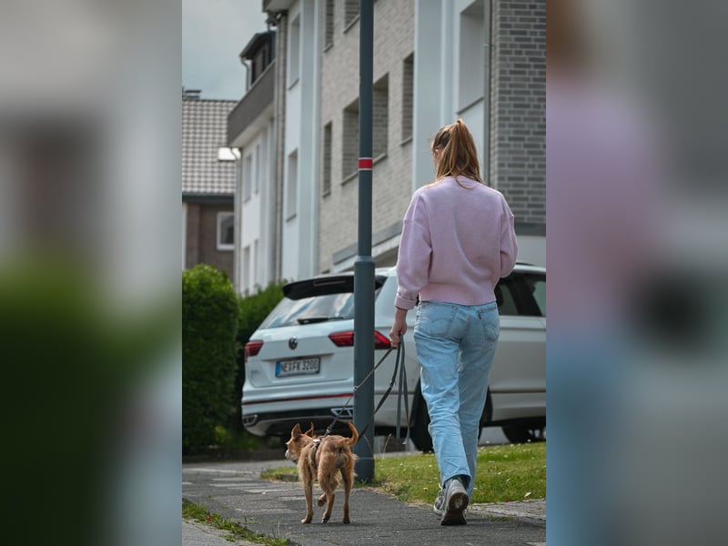 Pflegesenior Jonas wartet in 40668 Meerbusch auf dich!