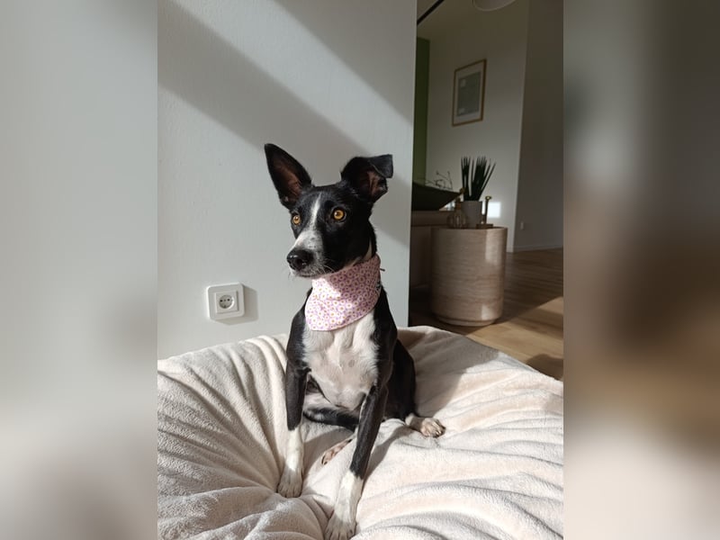 Aktive Berta wartet in 52385 Nideggen auf dich!