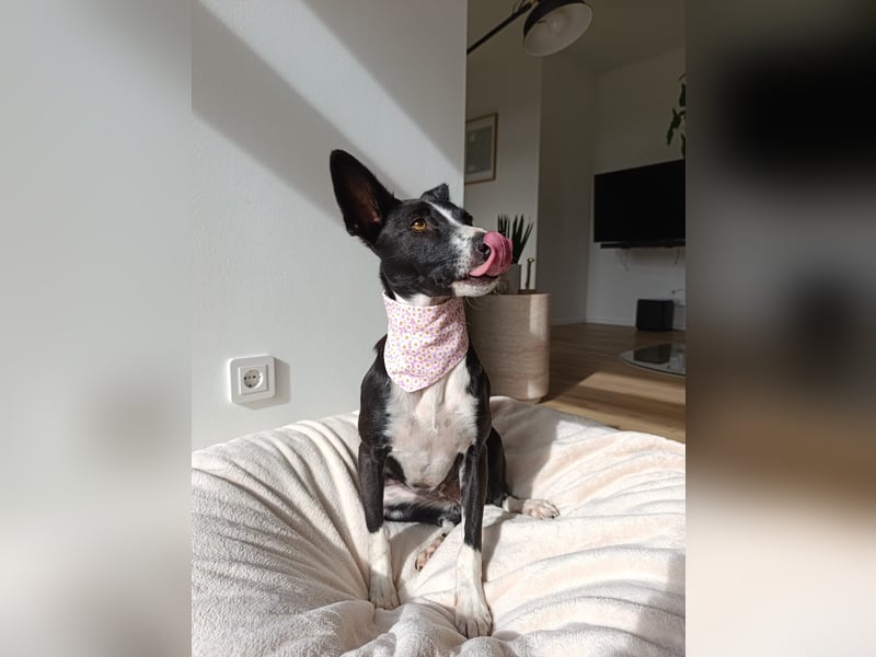 Aktive Berta wartet in 52385 Nideggen auf dich!