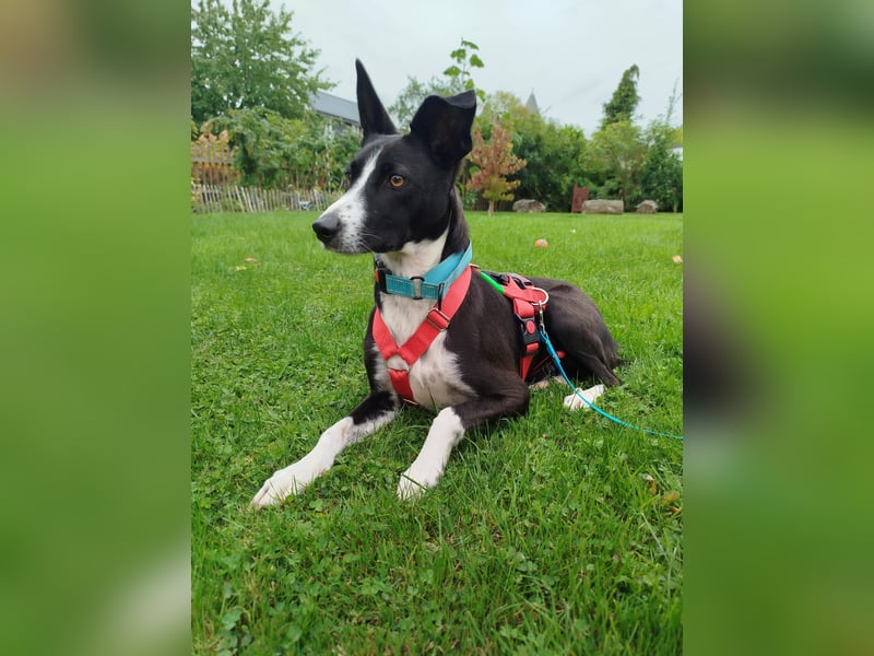 Aktive Berta wartet in 52385 Nideggen auf dich!