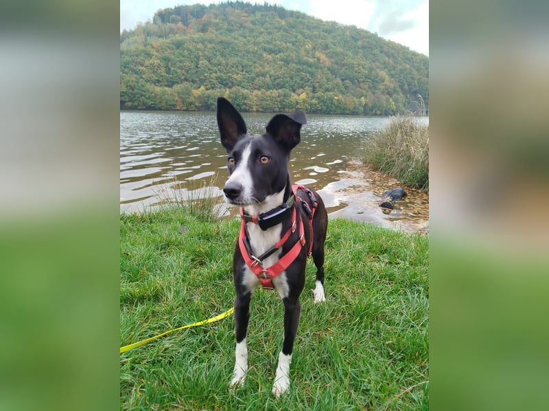 Aktive Berta wartet in 52385 Nideggen auf dich!