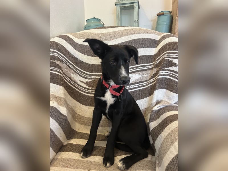 Zurückhaltende Felia sucht erfahrene Menschen für den Start in ein neues Leben