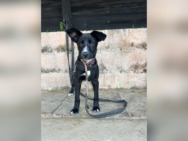 Zurückhaltende Felia sucht erfahrene Menschen für den Start in ein neues Leben