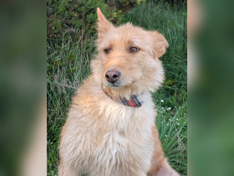 Sanfte Ava wartet in Portugal auf ihr Happy End!