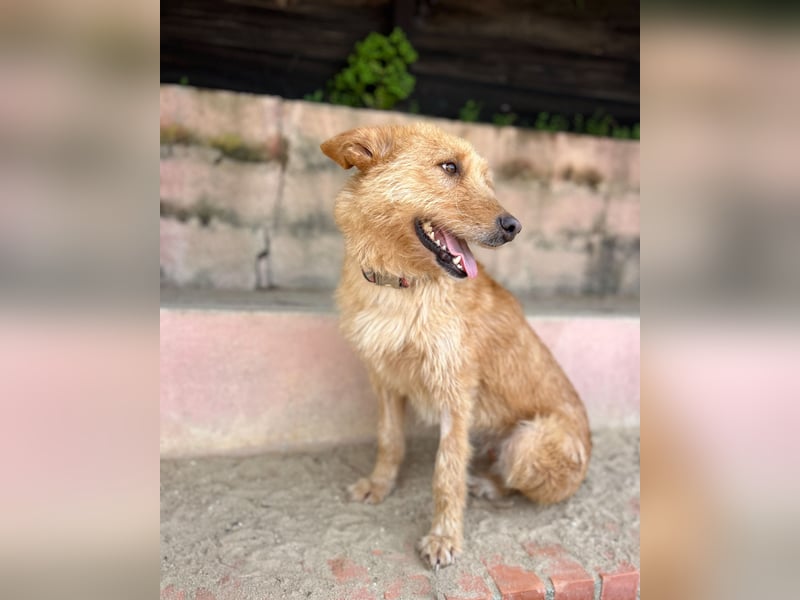 Sanfte Ava wartet in Portugal auf ihr Happy End!