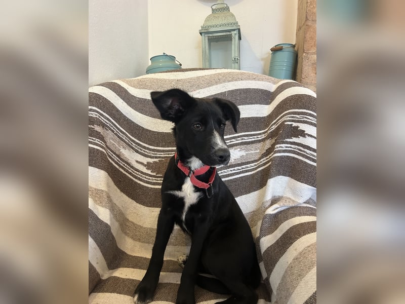 Zurückhaltende Felia sucht erfahrene Menschen für den Start in ein neues Leben