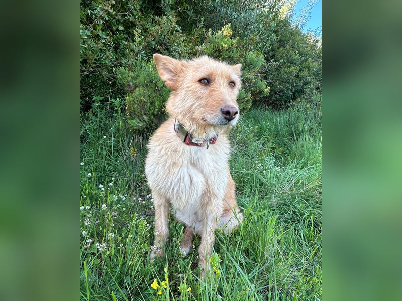 Sanfte Ava wartet in Portugal auf ihr Happy End!