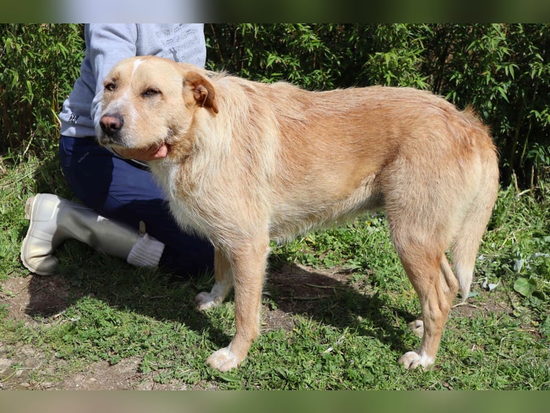 Moony ❤️ Ruhig und Gemütlich ❤️ Gesellig und  Katzenfreundlich