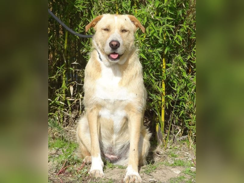 Moony ❤️ Ruhig und Gemütlich ❤️ Gesellig und  Katzenfreundlich