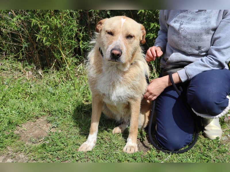 Moony ❤️ Ruhig und Gemütlich ❤️ Gesellig und  Katzenfreundlich