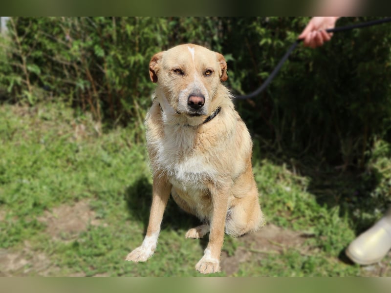 Moony ❤️ Gemütlich und Katzenfreundlich