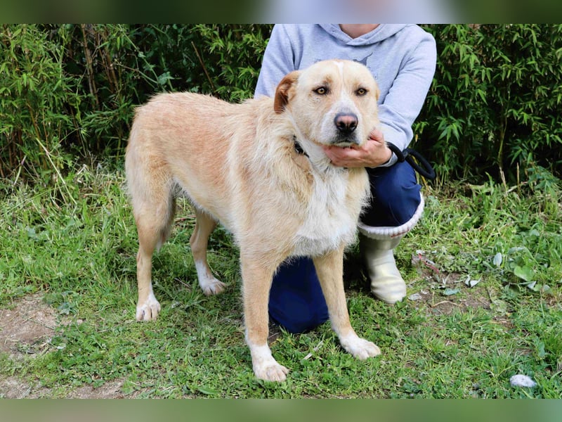 Moony ❤️ Gemütlich und Katzenfreundlich