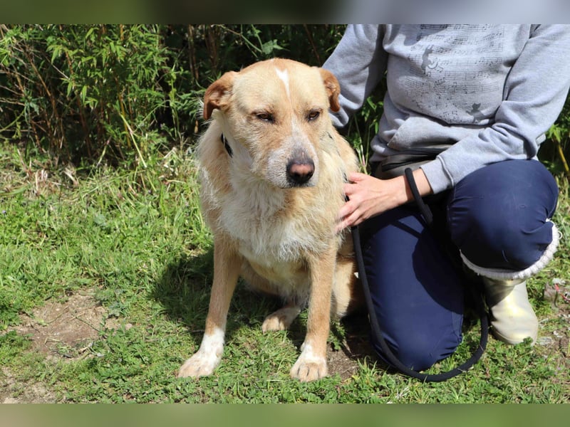 Moony ❤️ Gemütlich und Katzenfreundlich