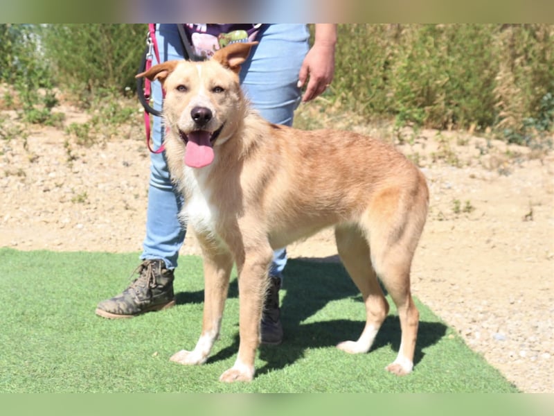 Moony ❤️ Gemütlich und Katzenfreundlich