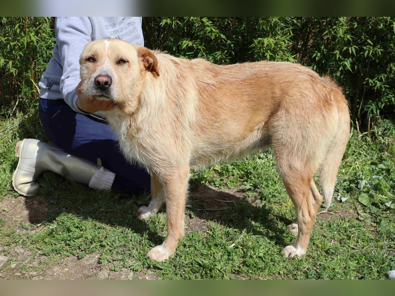 Moony ❤️ Gemütlich und Katzenfreundlich