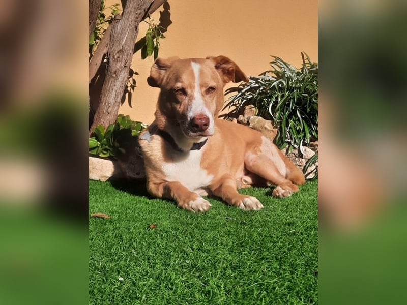 SENIOR YUPI ✴️ will als Einzelprinz einziehen