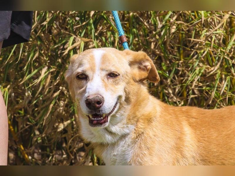 SENIOR YUPI ✴️ will als Einzelprinz einziehen