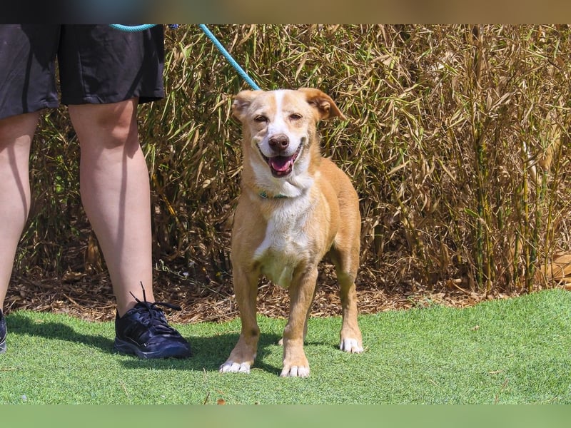 SENIOR YUPI ✴️ will als Einzelprinz einziehen