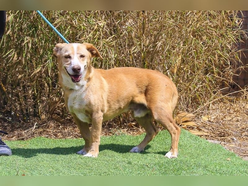 SENIOR YUPI ✴️ will als Einzelprinz einziehen