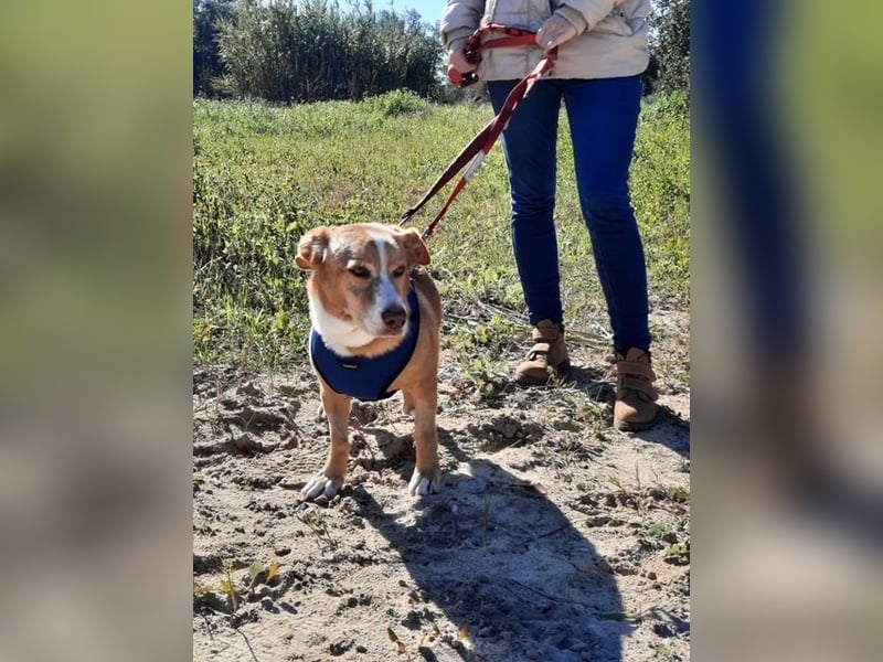 SENIOR YUPI ✴️ will als Einzelprinz einziehen