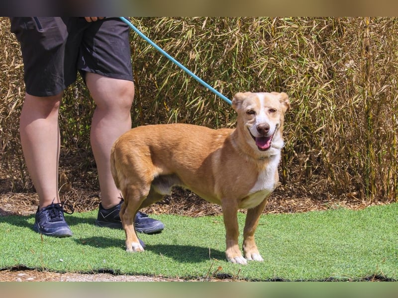 SENIOR YUPI ✴️ will als Einzelprinz einziehen