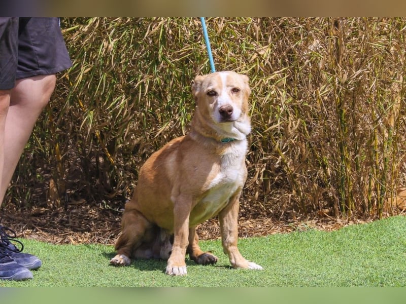 SENIOR YUPI ✴️ will als Einzelprinz einziehen